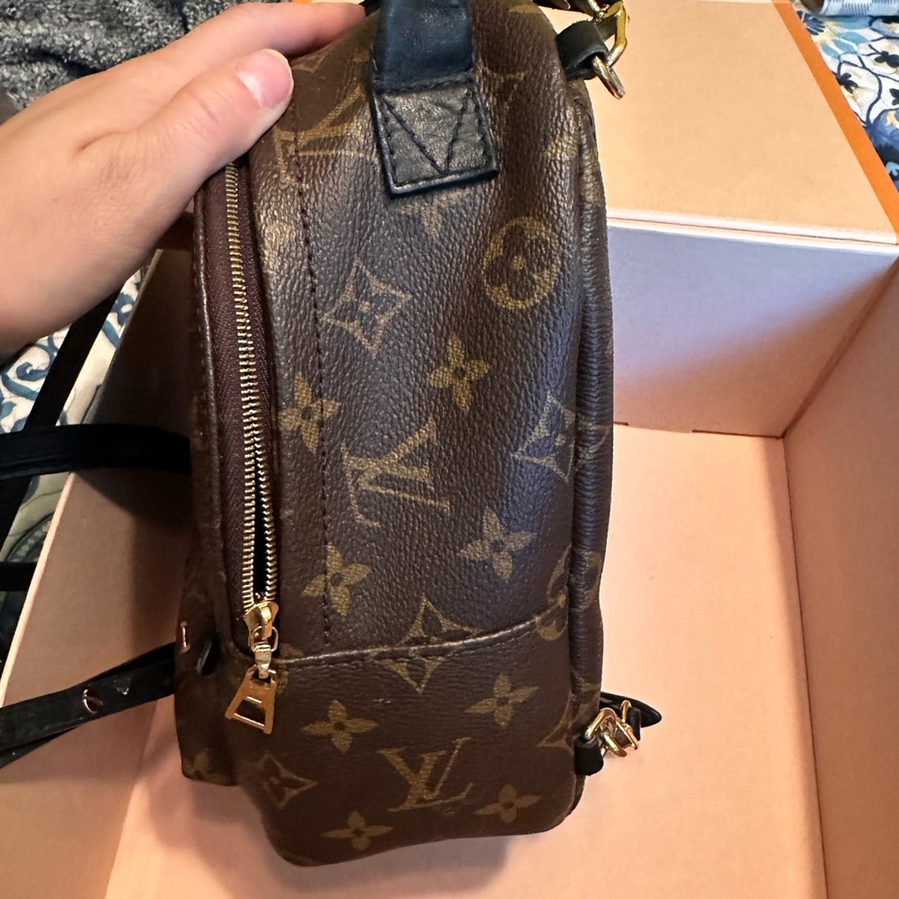 Louis Vuitton Palm Springs Mini - Picture 9 of 10